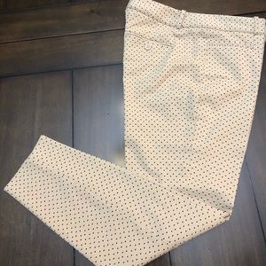 The Limited Exact Stretch Capri pant